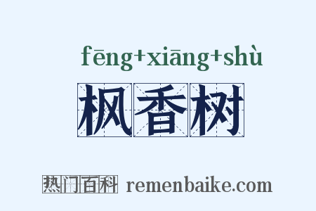 枫香树是什么意思的图片